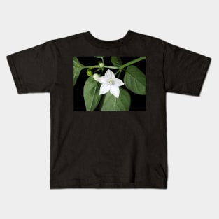 White hot pepper flower (Capsicum annuum cultivar) close-up Kids T-Shirt